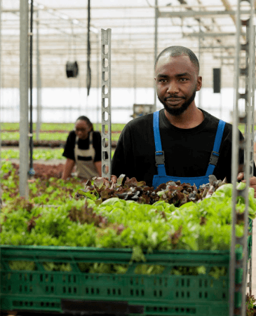 Captação de Investimentos Internacionais